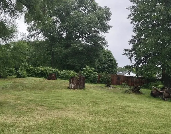 AeroBlade Frisbee — 3