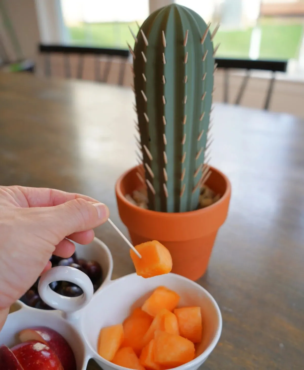 Cactus Toothpick Holder