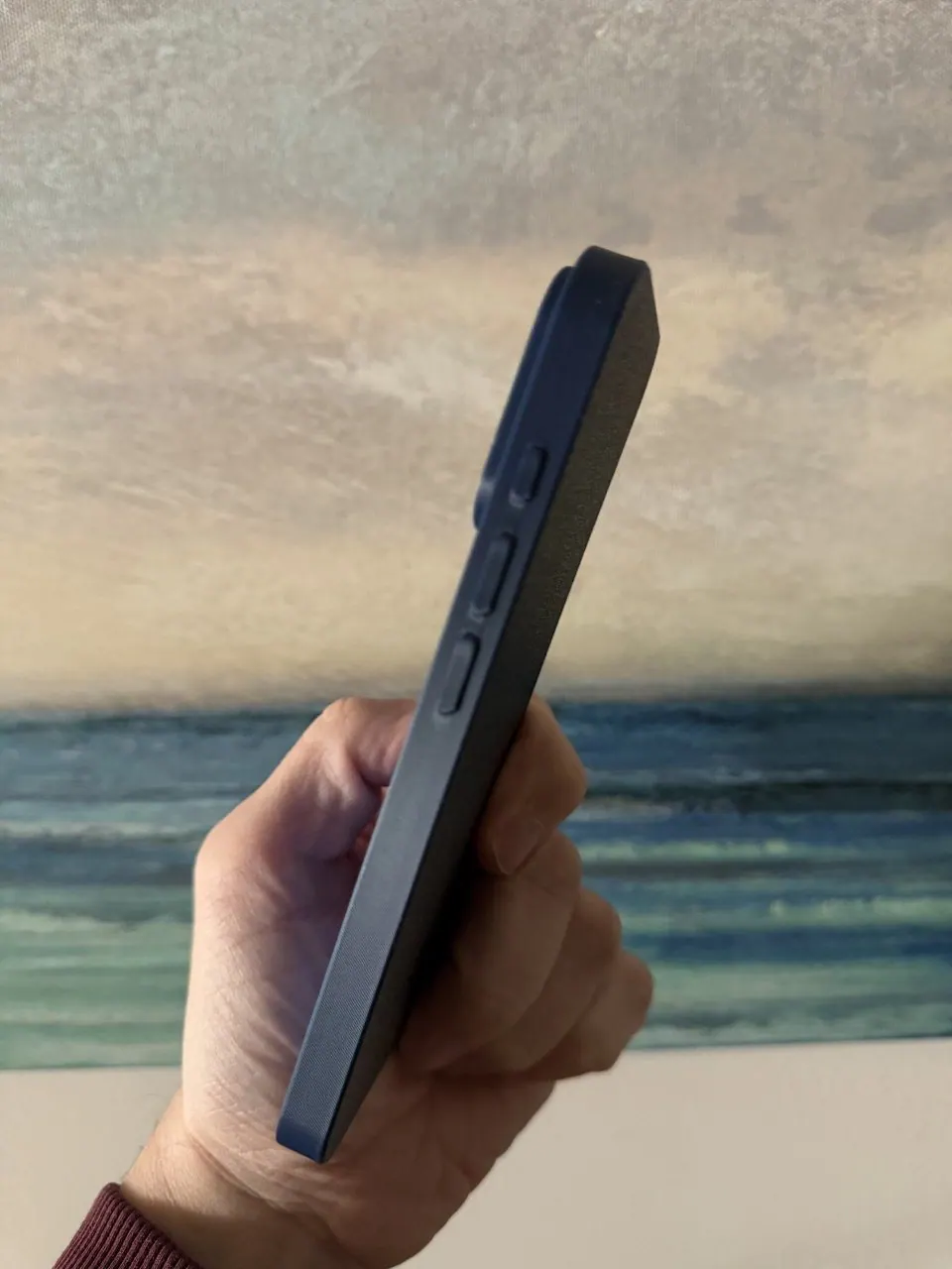 iPhone 18 Pro / 17 Pro